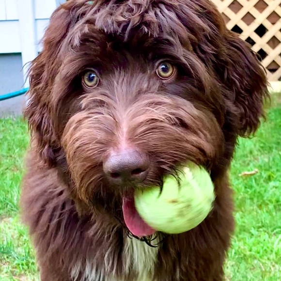 ☺️Meet your Posher, ♥️Bia  💕Welcome !😘 - Picture 4 of 16